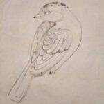 گالری آثار هنری مژگان ذوالفقاریان